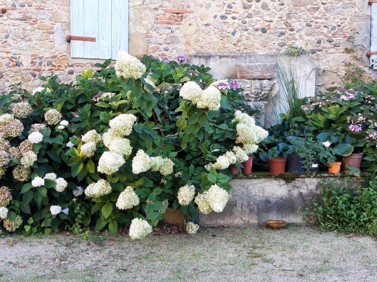 Le Pouy Bed & Breakfast Termes-d'Armagnac Exterior foto