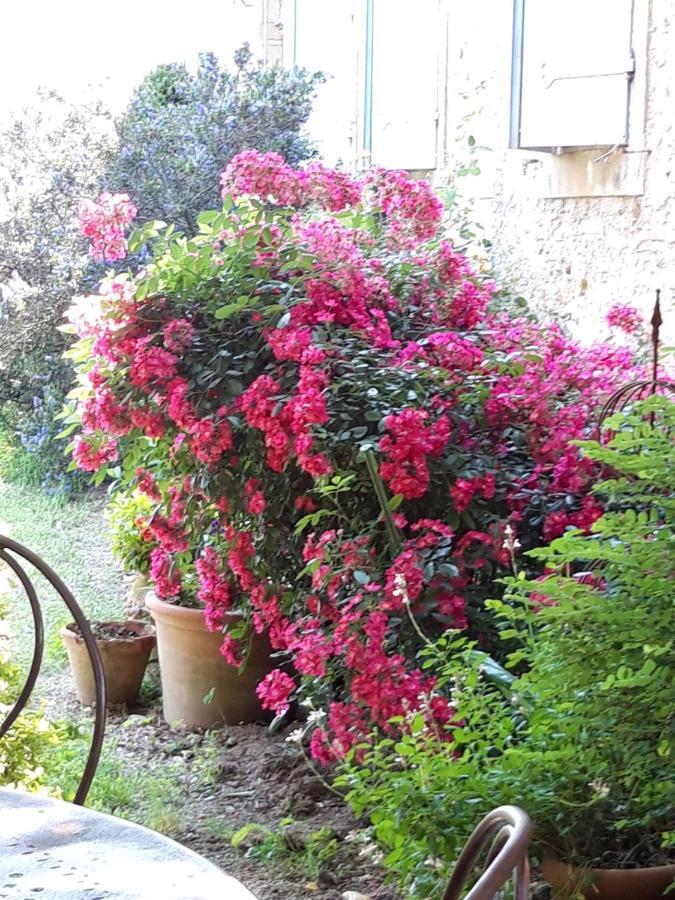Le Pouy Bed & Breakfast Termes-d'Armagnac Exterior foto