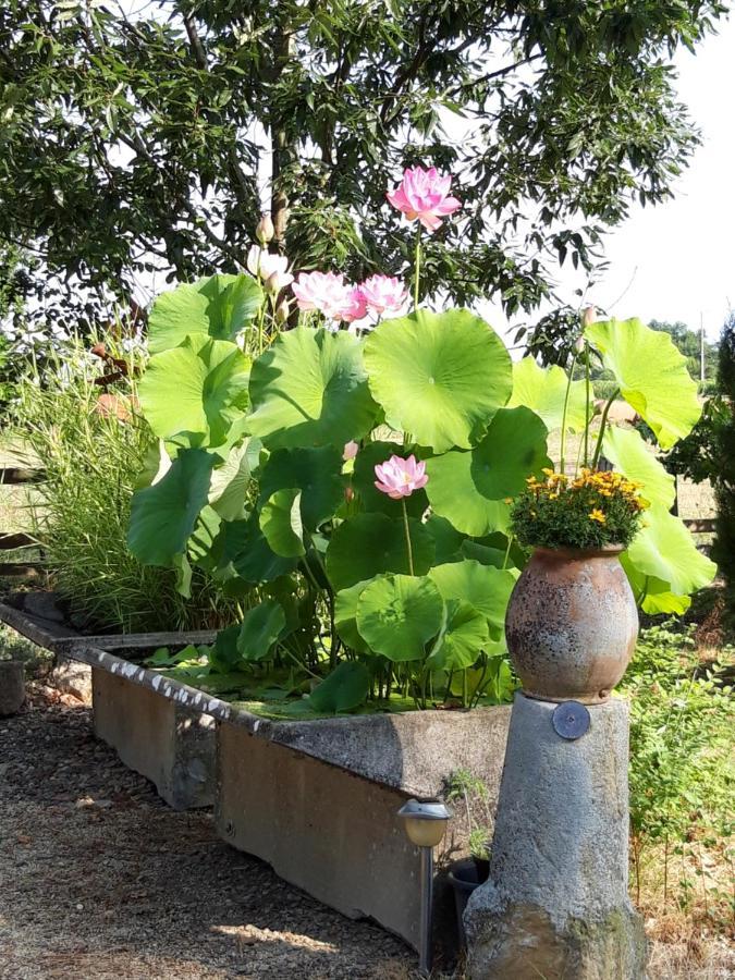Le Pouy Bed & Breakfast Termes-d'Armagnac Exterior foto