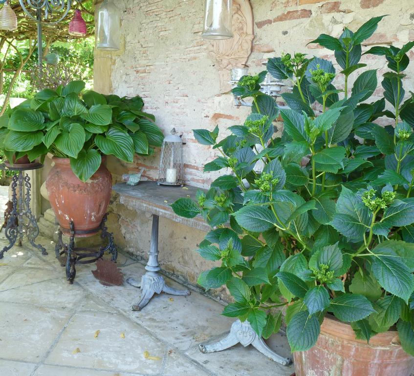 Le Pouy Bed & Breakfast Termes-d'Armagnac Exterior foto